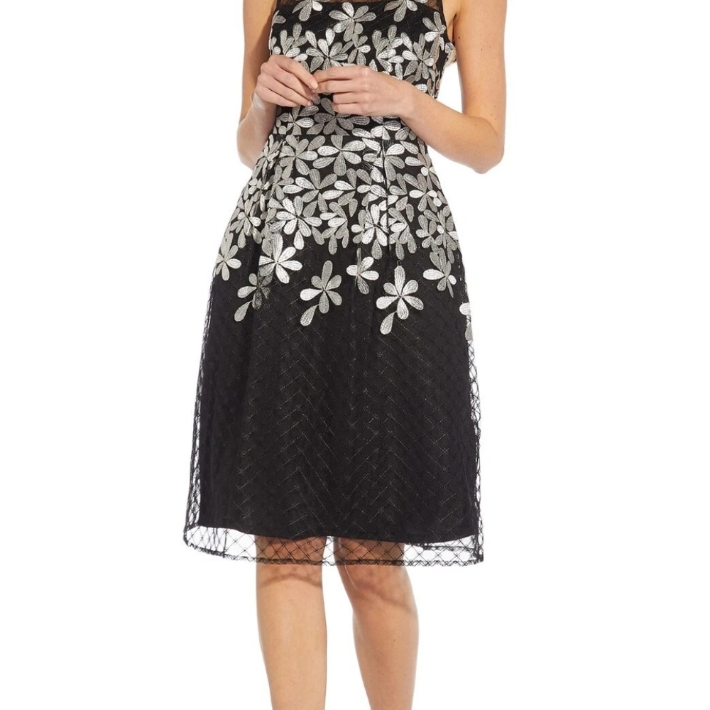NWT, Adrianna Papell Illusion Neckline Embroidered Dress, Size 6